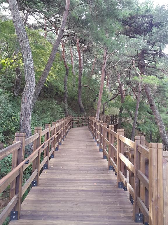 Pyeongchang River House Eksteriør bilde