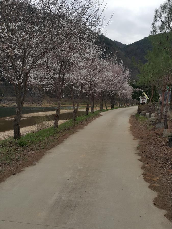 Pyeongchang River House Eksteriør bilde